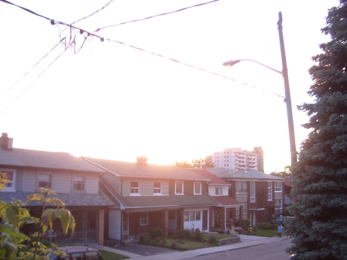 [Picture: Evening on Lauder Avenue]