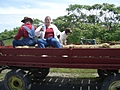 [Picture: Farm Wagon]