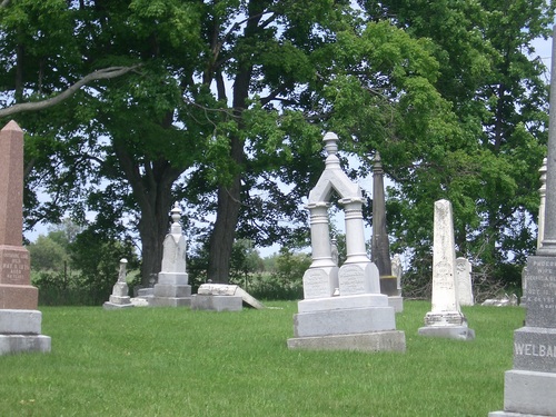 [Picture: Gravestones under the tree]