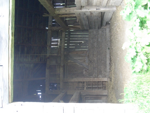 [Picture: In the Barn]