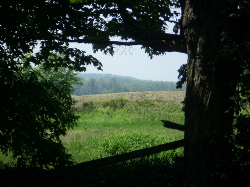 [Picture: View from the Balcony]