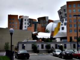 [picture: Stata Center from the back 2]