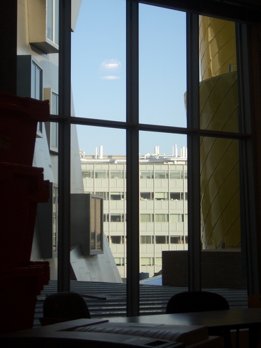 [Picture: View from my office window 3]