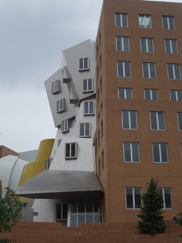 [Picture: Stata Center from the back 4]