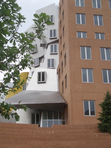 [Picture: Stata Center from the back 5]