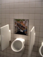 [picture: Surprising Toilets 2]