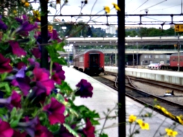 [picture: Railway in Norway]