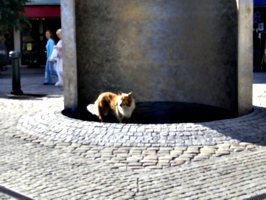 [picture: Fountain with Dog]