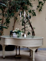 [picture: White grand piano with candelabra and large potted plant 2]