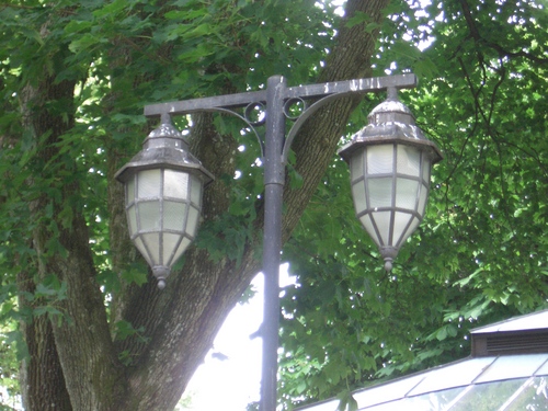 [Picture: Lanterns]