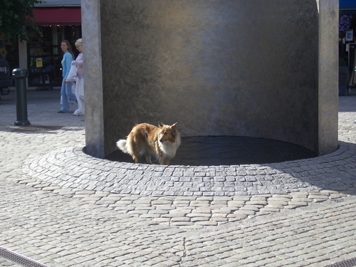 [Picture: Fountain with Dog]