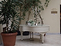 [Picture: White grand piano with candelabra and large potted plant]