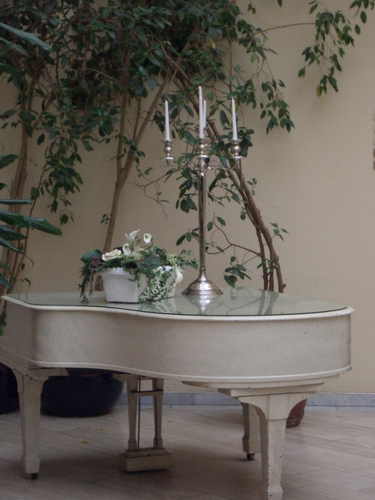 [Picture: White grand piano with candelabra and large potted plant 2]