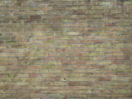 [picture: Brick wall]