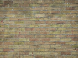 [picture: Brick Wall 2]
