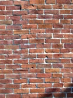 [picture: Brick Wall]