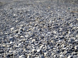 [picture: Pebbly Beach]