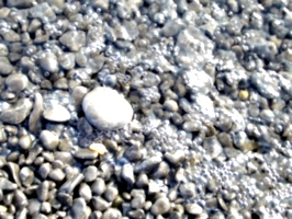 [picture: Pebbles on the edge of the water 2]