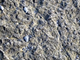 [picture: Weathered Rock Surface]