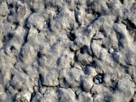 [picture: Weathered Rock Surface 2]