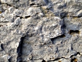 [picture: Weathered Rock Surface 5]