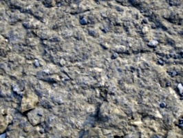 [picture: Weathered Rock Surface 6]