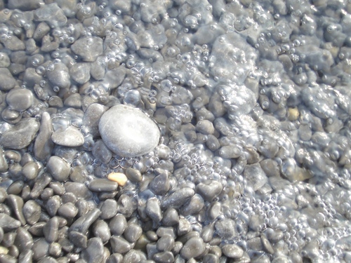 [Picture: Pebbles on the edge of the water 2]