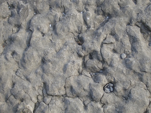 [Picture: Weathered Rock Surface 2]