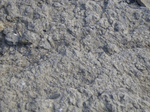[Picture: Weathered Rock Surface 3]