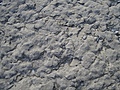 [Picture: Weathered Rock Surface 4]