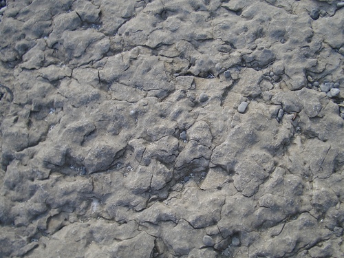 [Picture: Weathered Rock Surface 4]