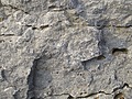 [Picture: Weathered Rock Surface 5]