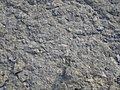 [Picture: Weathered Rock Surface 6]