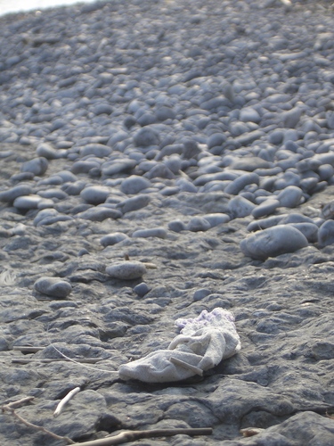 [Picture: Abandoned Sock]