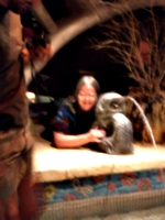[picture: Blurry Debbie with Dolphin]