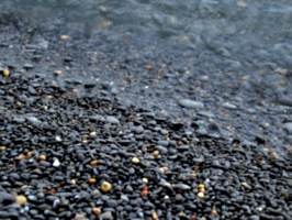 [picture: Wet pebbles at the edge of the shore]