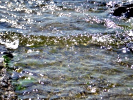 [picture: Water on rocky shore 2]