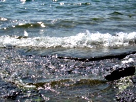 [picture: Water on rocky shore 5]
