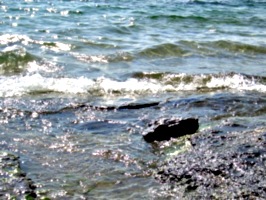 [picture: Water on rocky shore 7]