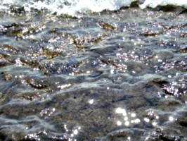 [picture: Water on rocky shore 9]