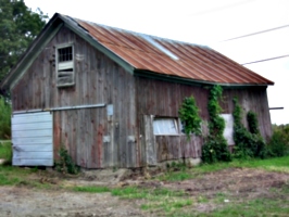 [picture: Old barn]