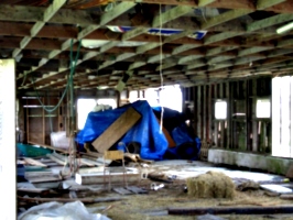 [picture: Inside the barn 3]