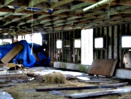 [picture: Inside the barn 4]
