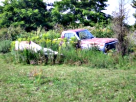 [picture: Abandoned car 2]