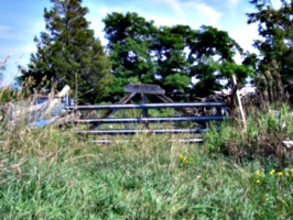 [picture: Farm gate]