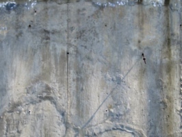 [picture: Plaster texture 2]