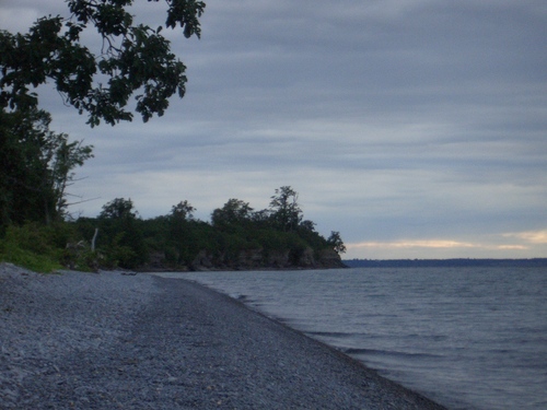 [Picture: Tree by beach 2]