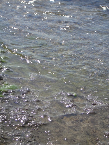 [Picture: Water on rocky shore]