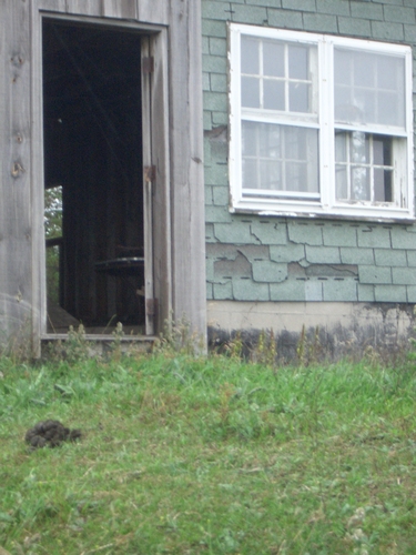 [Picture: Barn door with turd]