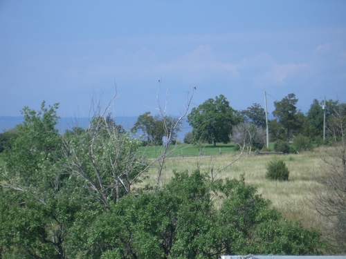 [Picture: View from the barn roof 2]